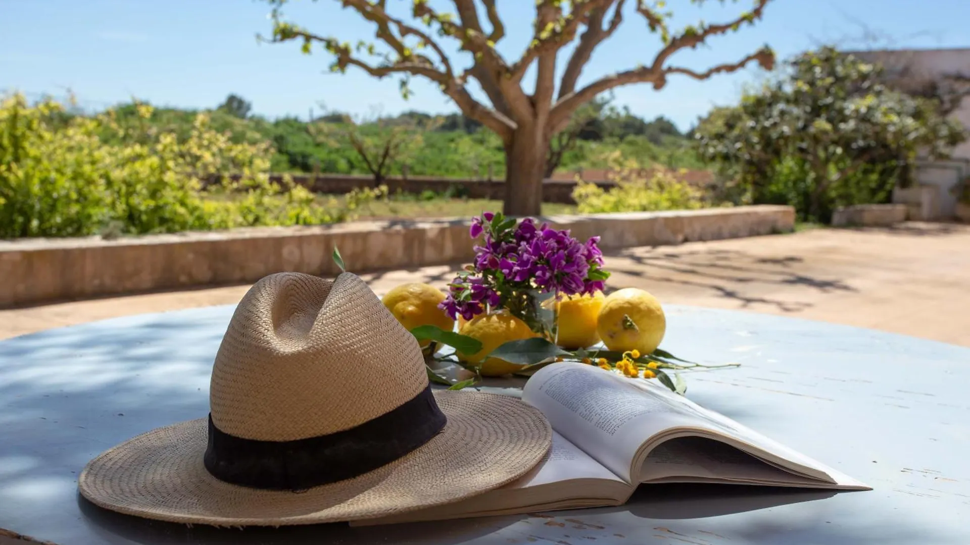 Farm stay Sa Nau Agroturismo - Adults Only Over 16 Portocolom